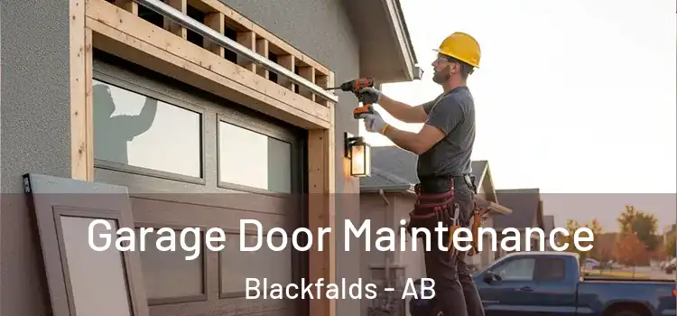 Garage Door Maintenance Blackfalds - AB