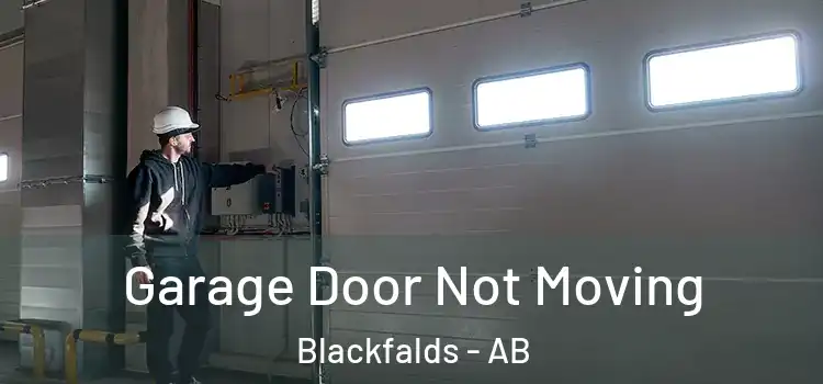  Garage Door Not Moving Blackfalds - AB