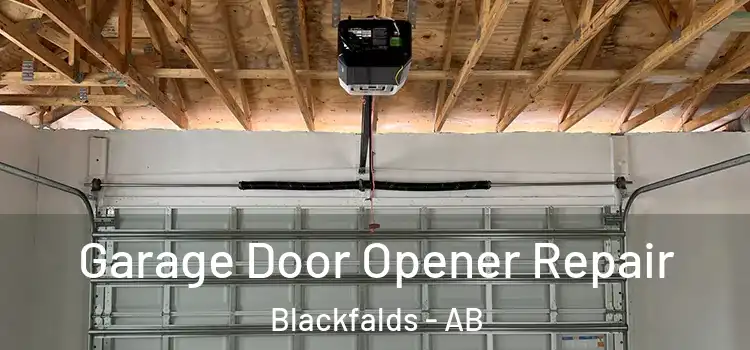  Garage Door Opener Repair Blackfalds - AB