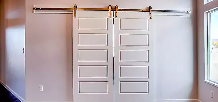 Glass Barn Door with Installation Hardware Kit Blackfalds