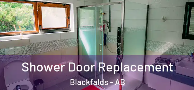 Shower Door Replacement Blackfalds - AB
